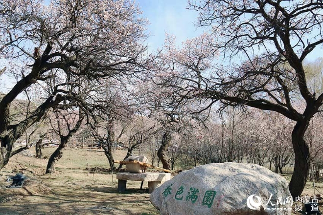 春色滿園。李珍攝